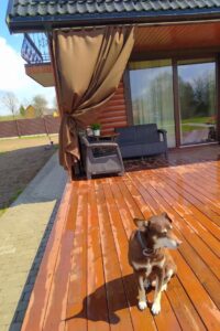 Tamsiai rudos kaštono spalvos terasos užuolaidos, iš vandeniui atsparaus audinio, storos ir tvirtos užuolaidos lauke, rudas šuo terasoje, rudos terasinės lentos.